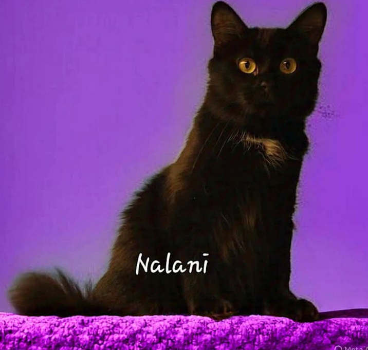 Photo of Nalani
