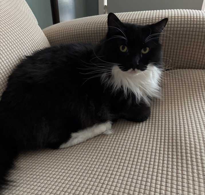 Photo of Lucy