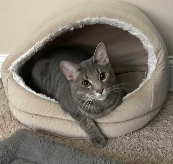 Photo of Finn