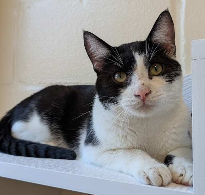 Photo of Thurston