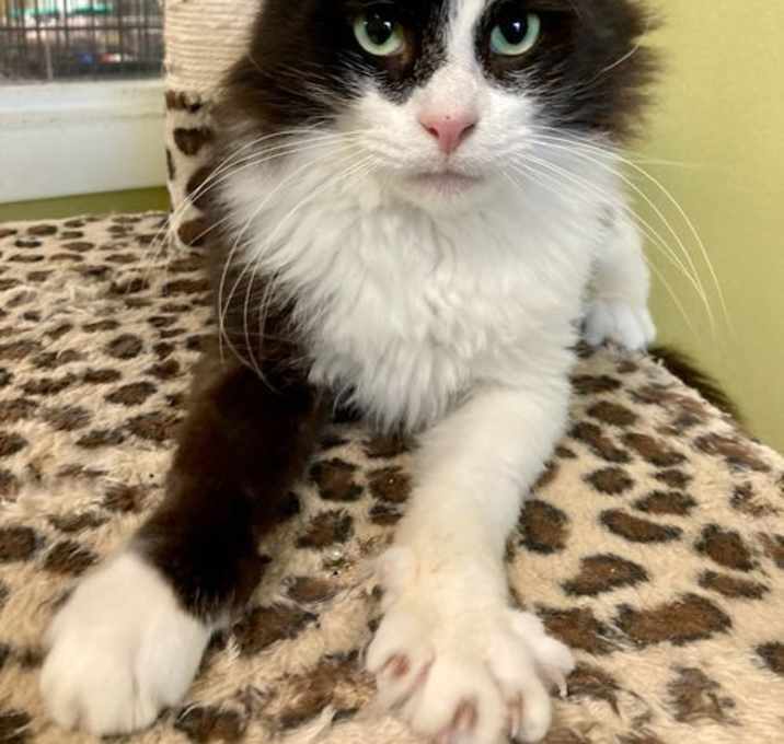 Photo of Georgie