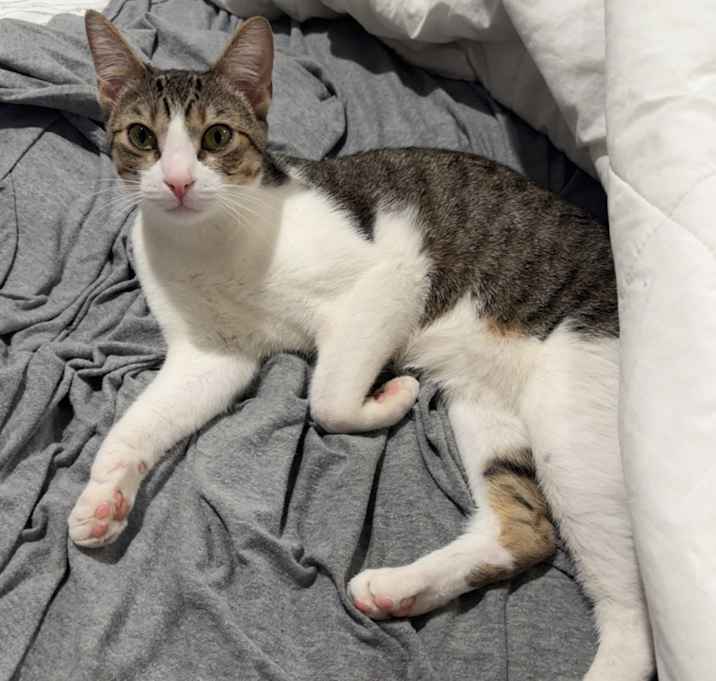 Photo of Mia