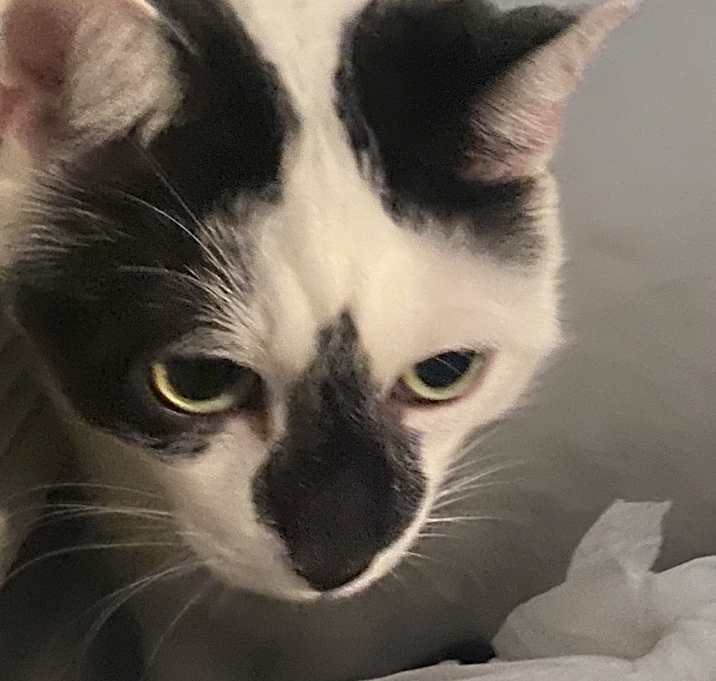 Photo of Jill