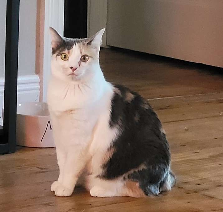 Photo of Gaia