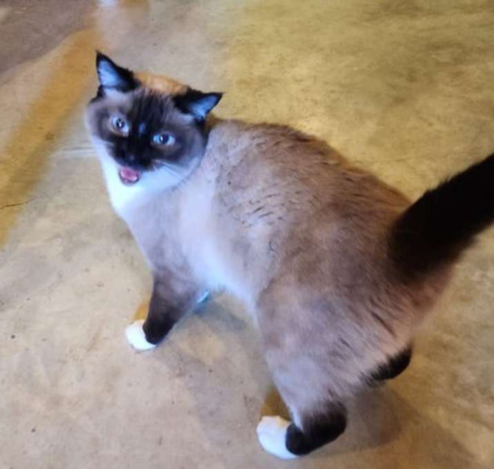 Photo of Hazel