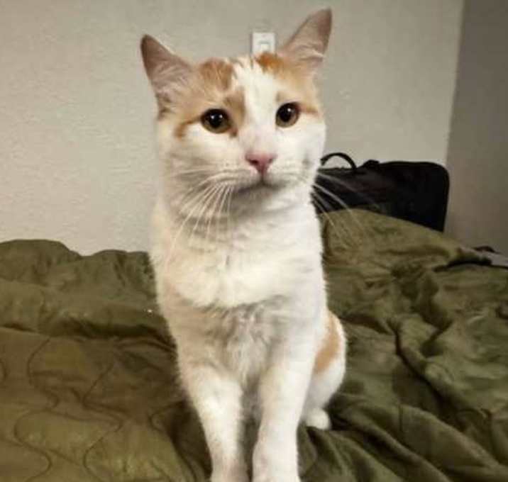 Photo of Leo