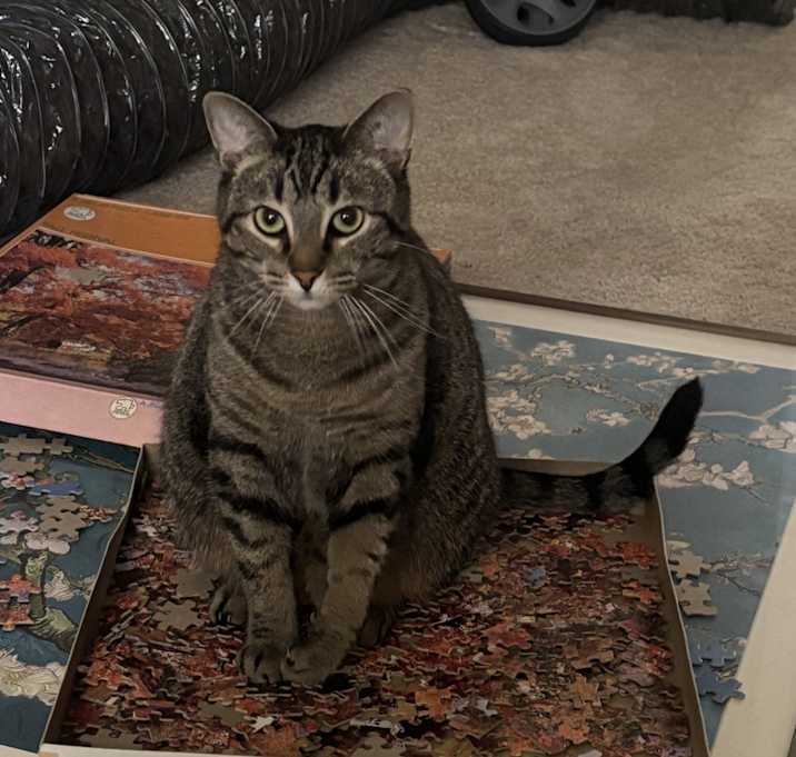 Photo of Priscilla