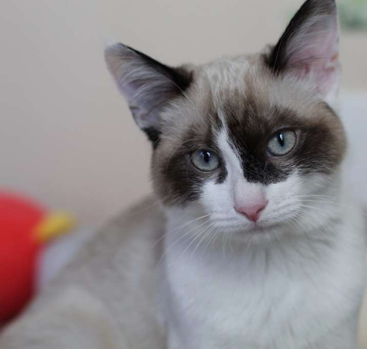 Photo of Lacie