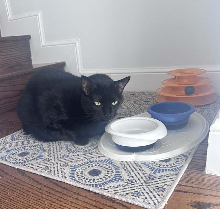 Photo of Lucy