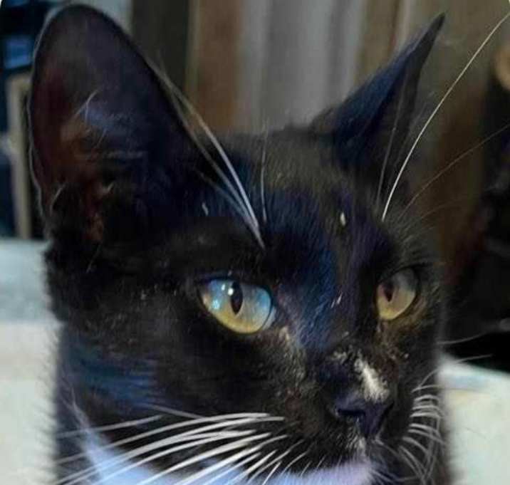 Photo of Laverne