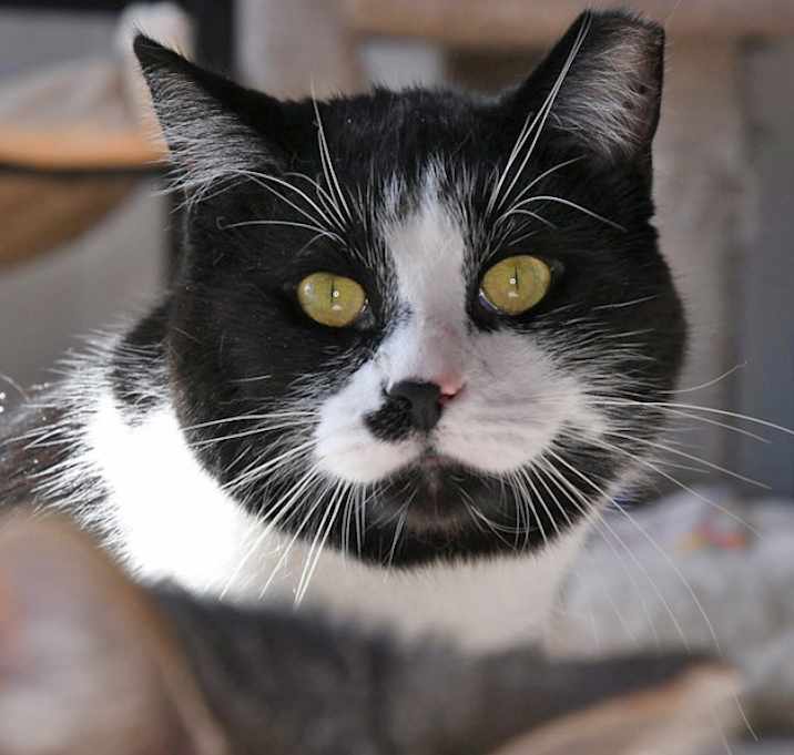 Photo of Lyle