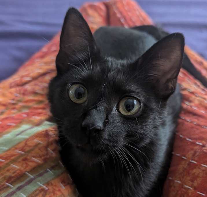 Photo of Nicks