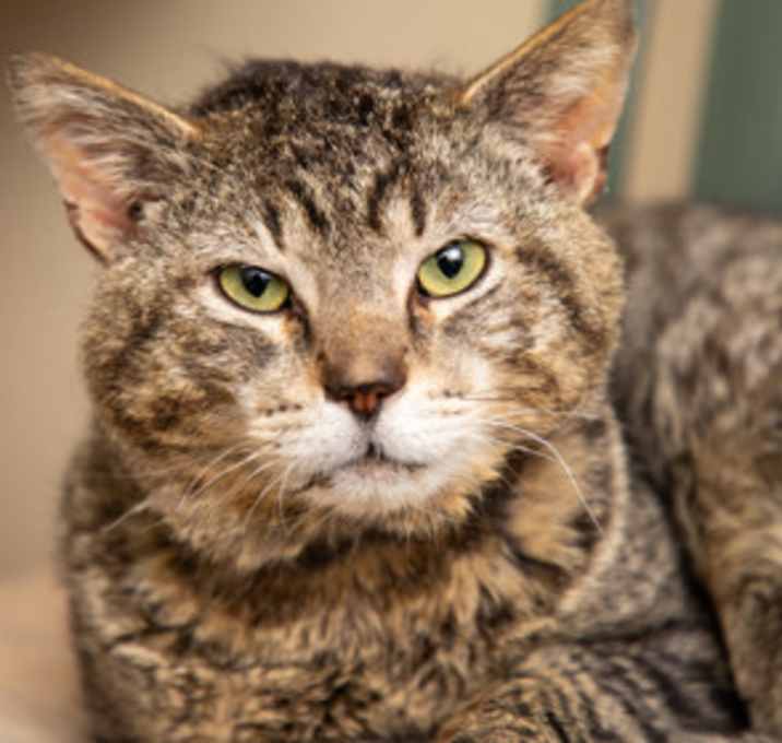 Photo of Big Boy