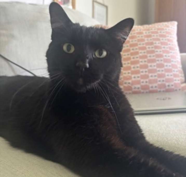 Photo of Nigel