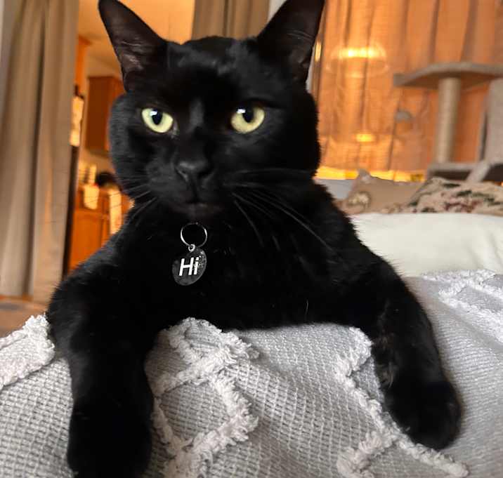 Photo of Neo