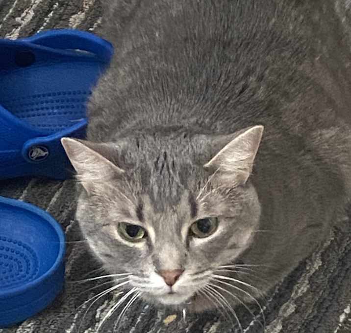 Photo of Storm