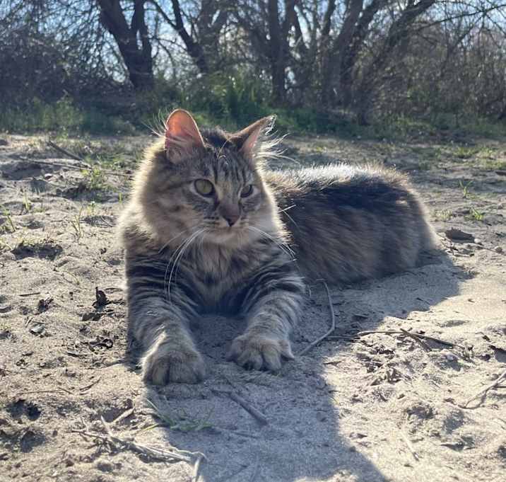 Photo of Terra