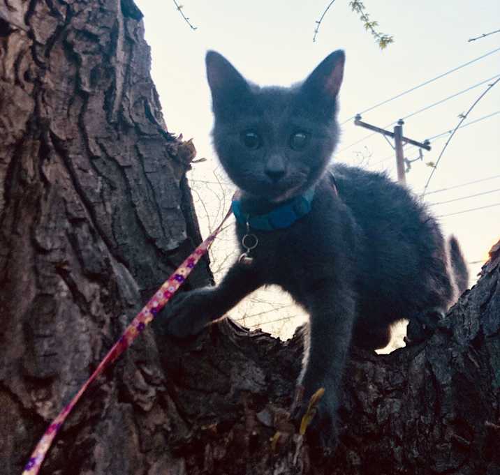 Photo of Moxy