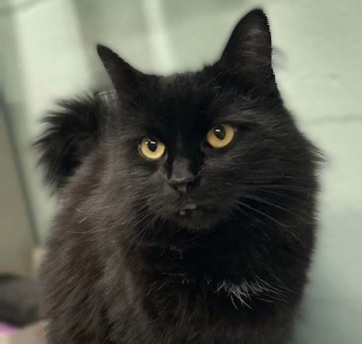 Photo of Sandy