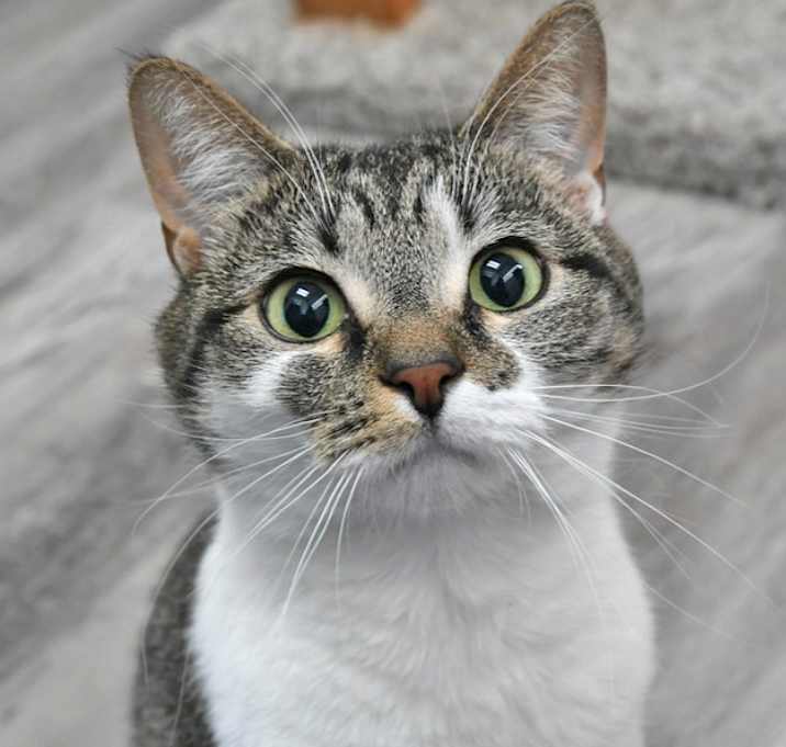 Photo of Francesca