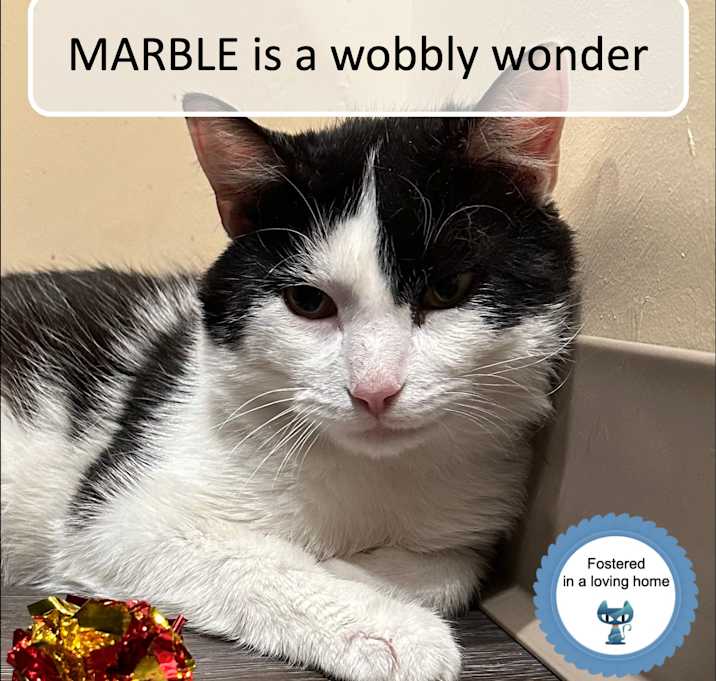 Photo of Marble