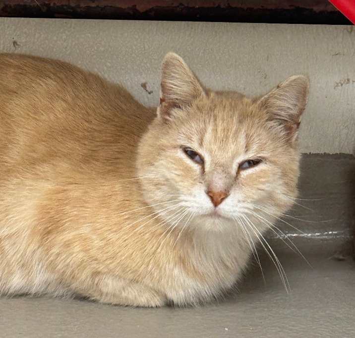 Photo of Sunny