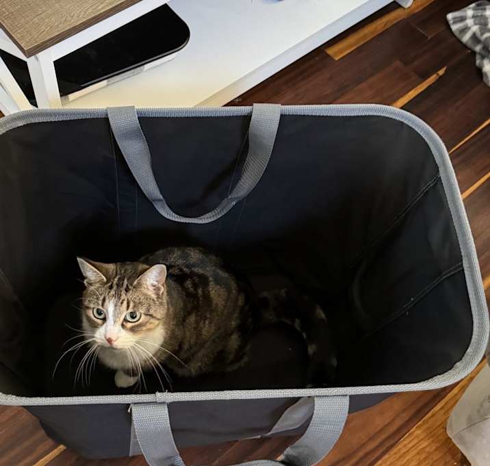 Photo of Winnie