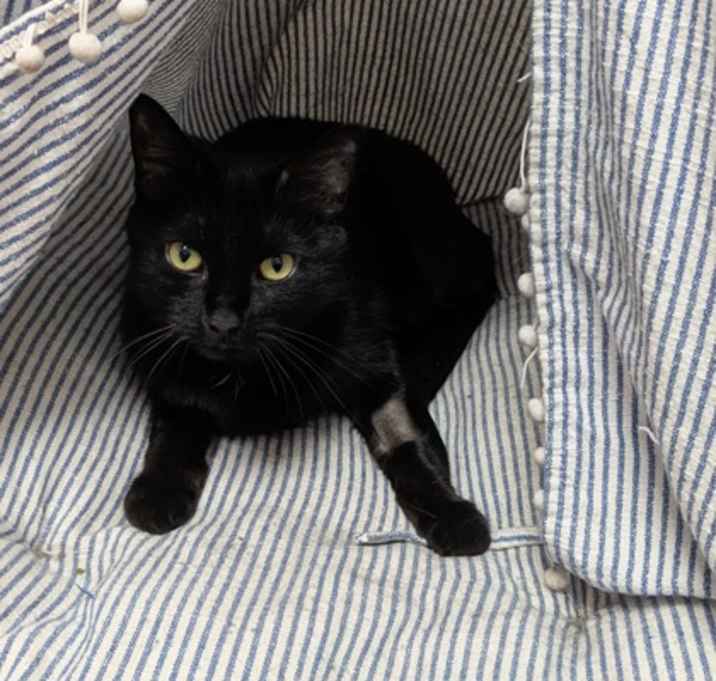Photo of Wednesday