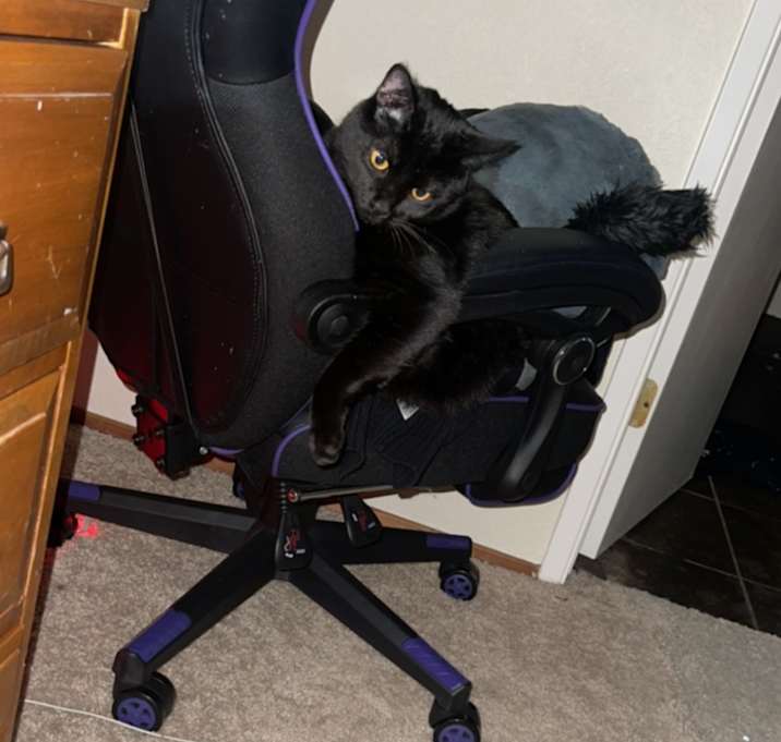 Photo of Salem