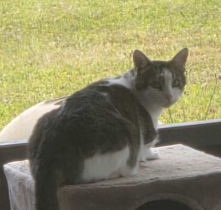 Photo of Max