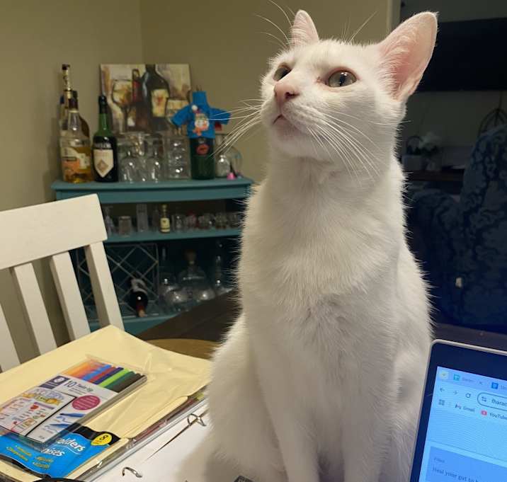 Photo of Mitsuki (pronounced Mitski)