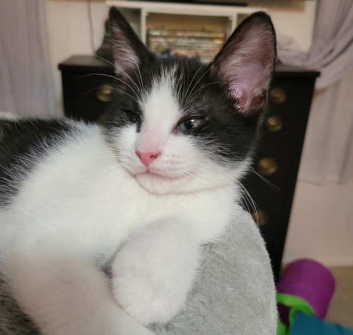 Photo of Mr. Moo