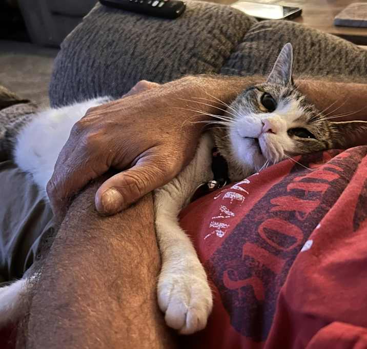 Photo of Socks