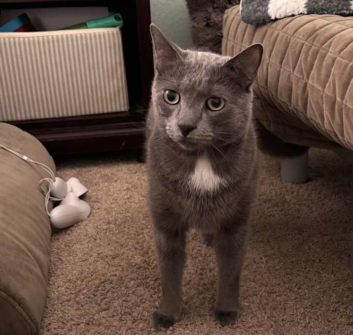 Photo of Charlie