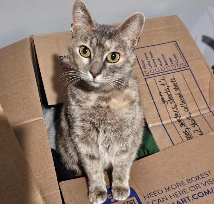 Photo of Daisy Mae