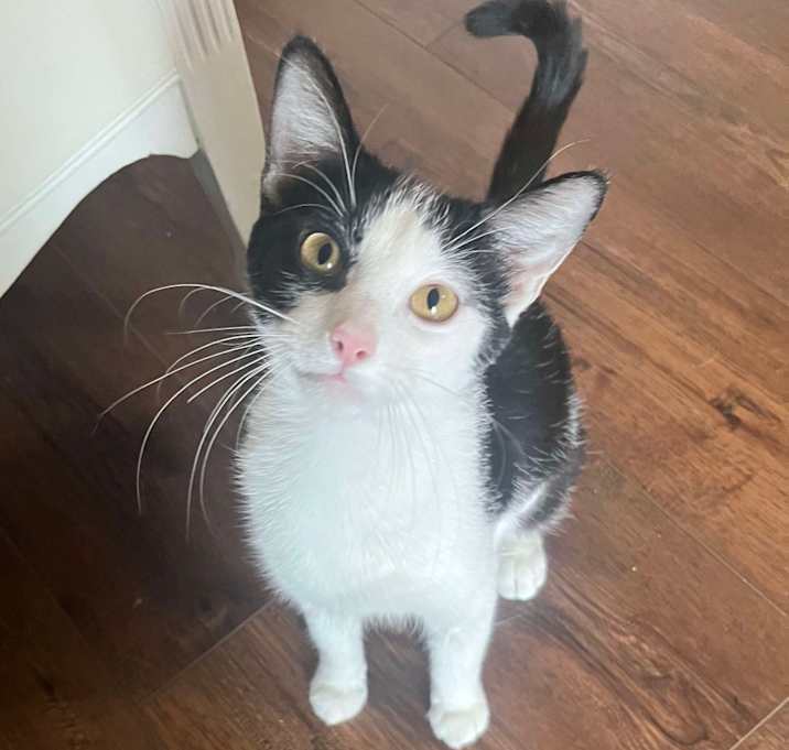 Photo of Angel