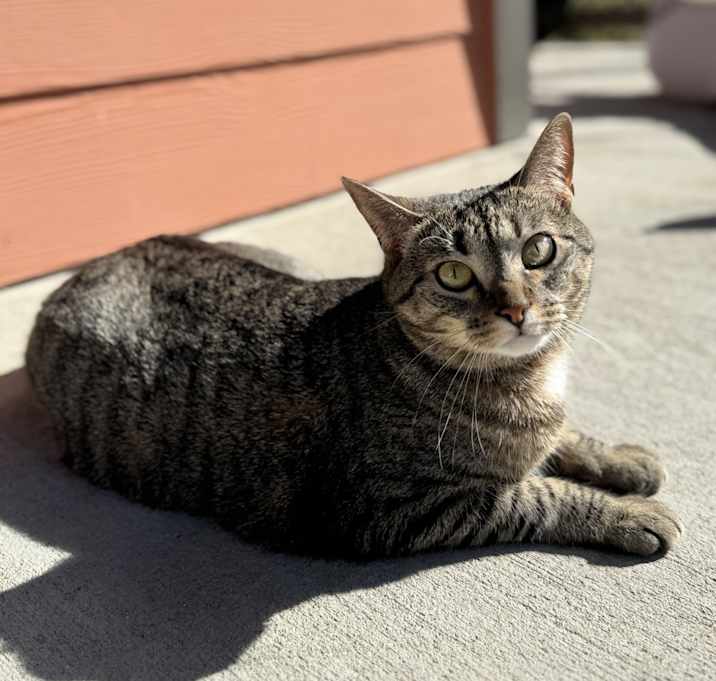 Photo of Luna Ray