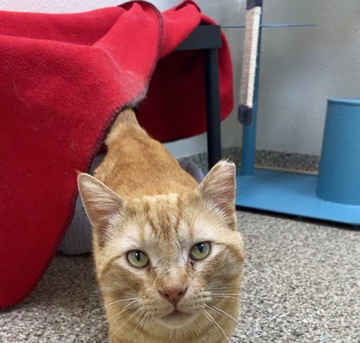 Photo of Julius