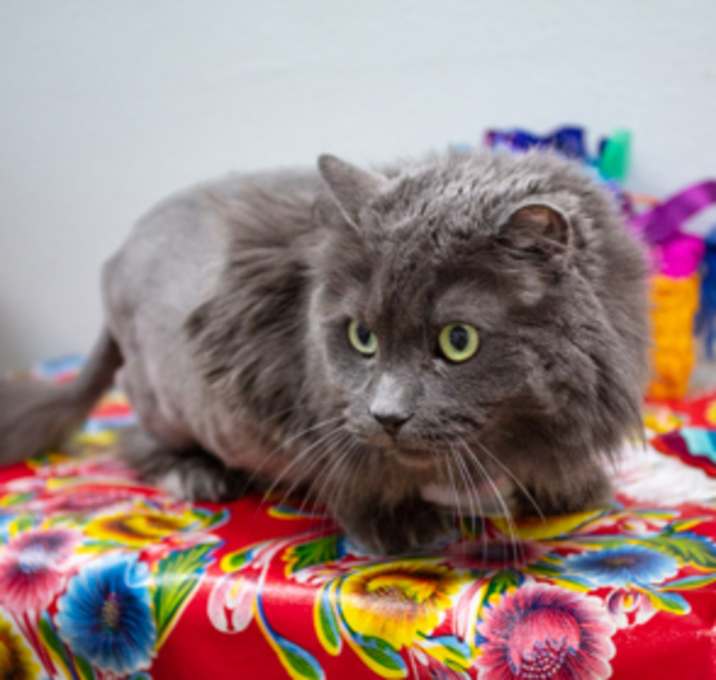 Photo of Sterling