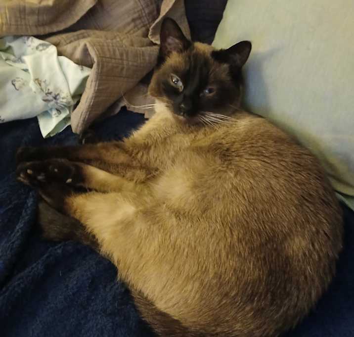 Photo of Lucy