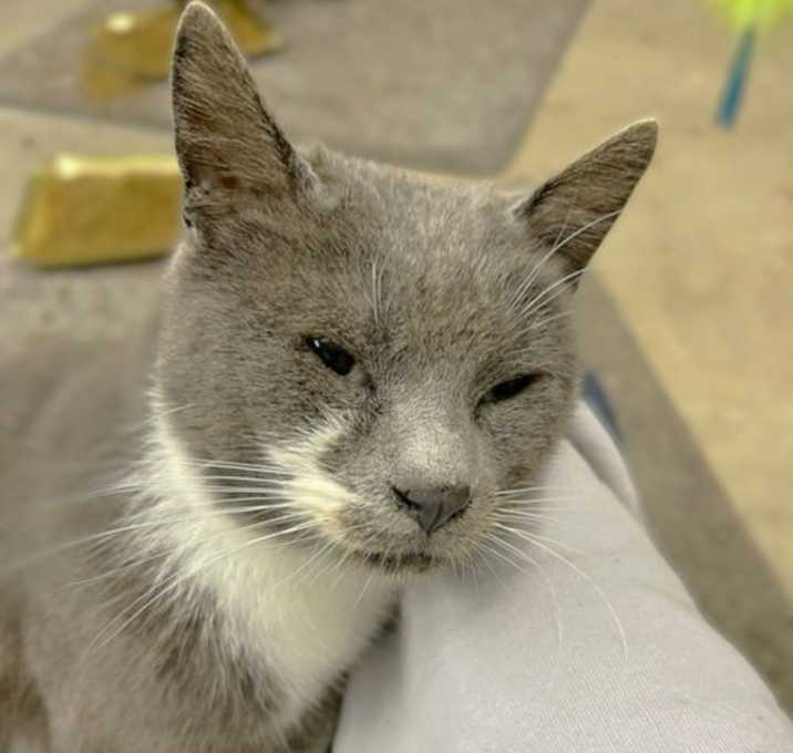 Photo of Miss Apollo