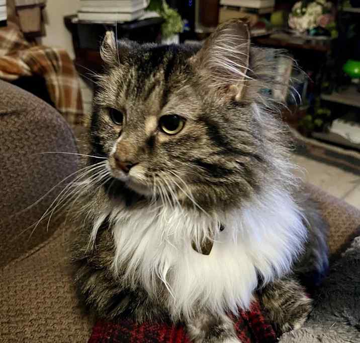 Photo of Piña