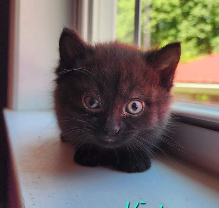 Photo of Vicky