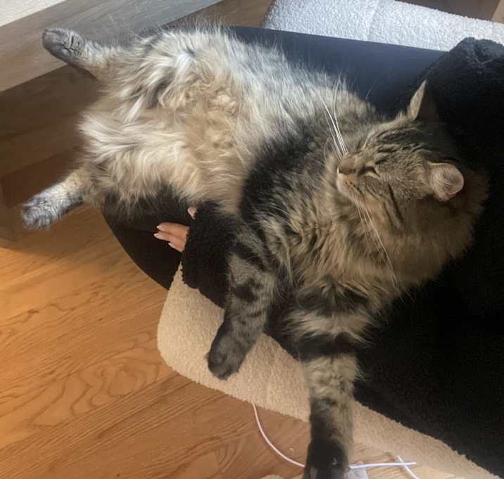Photo of Bubs