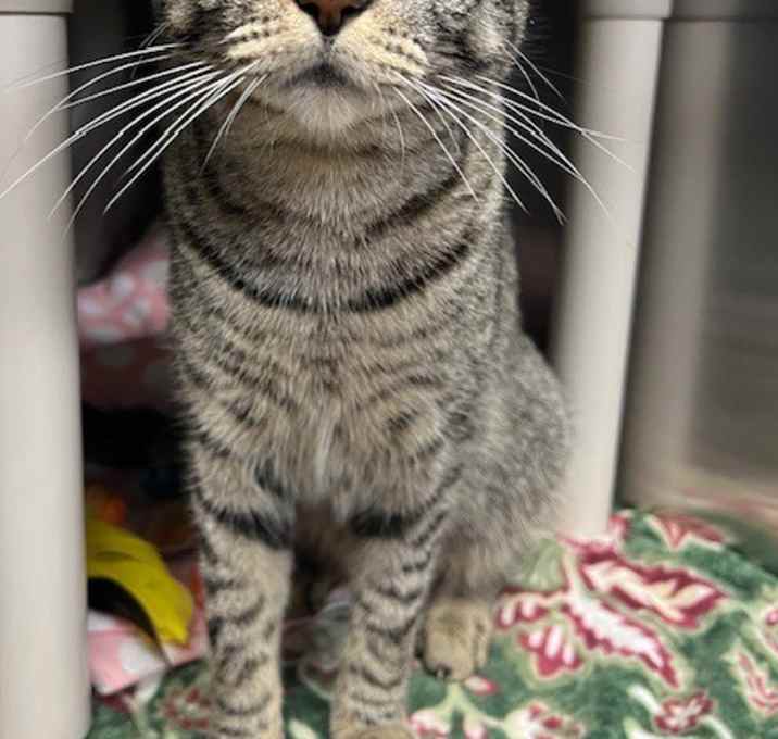 Photo of Athena