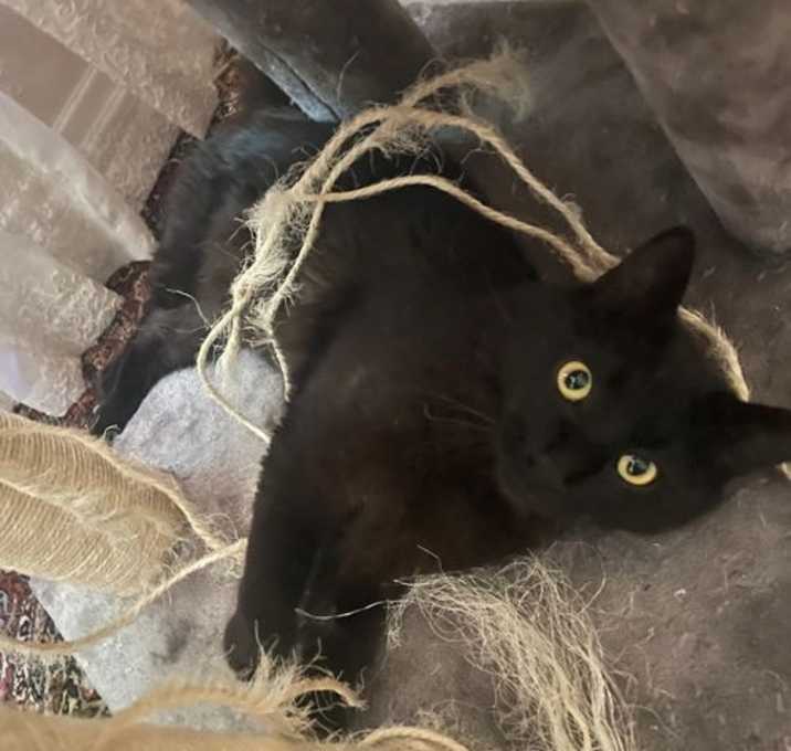 Photo of Little Dude
