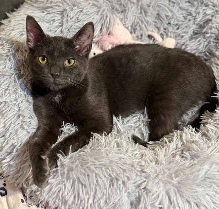 Photo of Bree