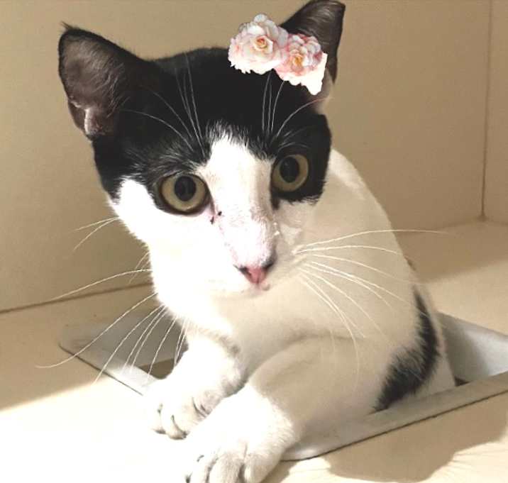 Photo of Bonnie