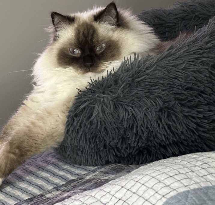 Photo of larry