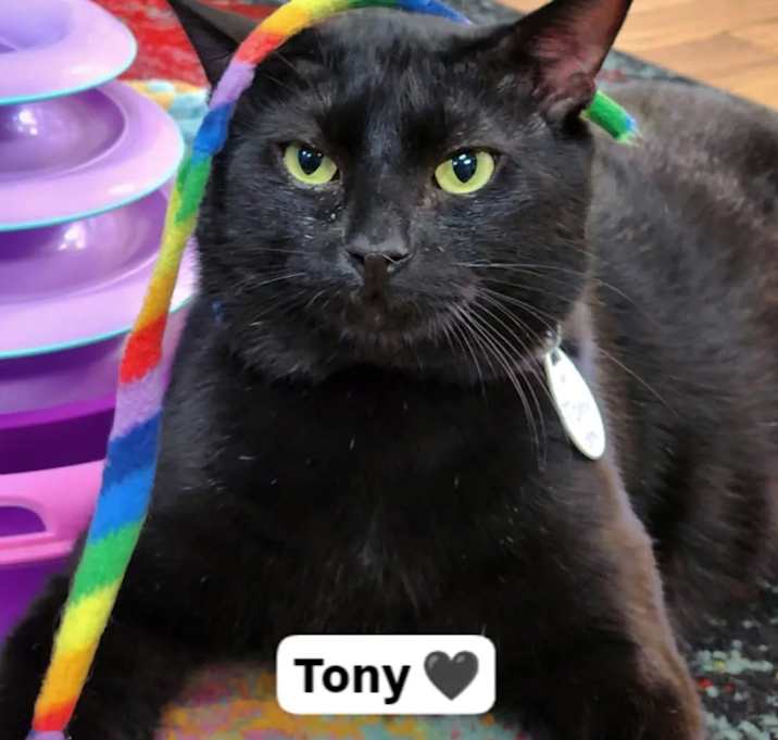 Photo of Tony